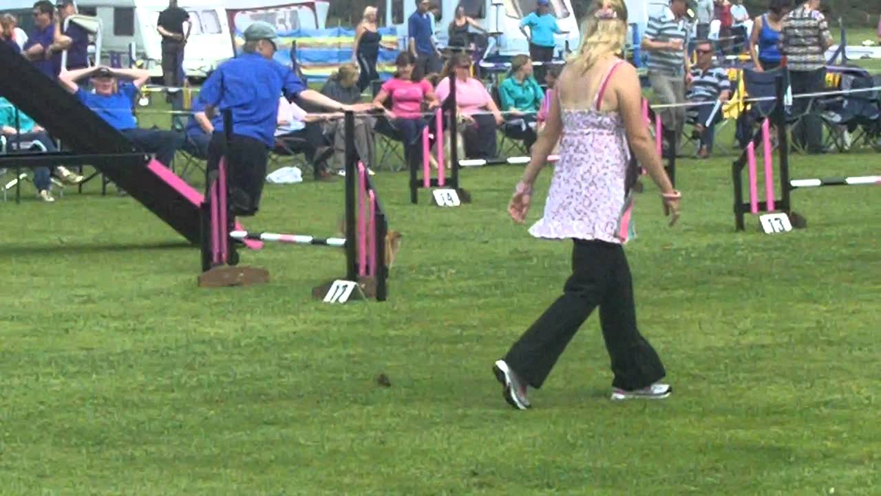 Brax East Lothian Champ Agility YouTube