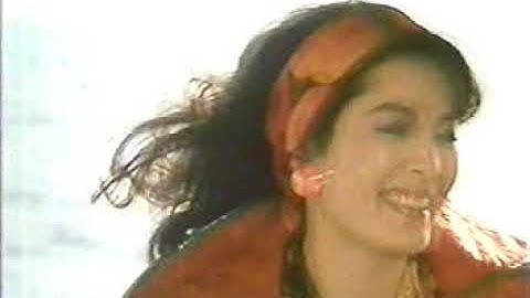 『火宅の人』劇場予告編