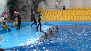 Харьковский дельфинарий