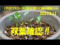 2023.3.12 双葉確認‼