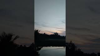 এক গোধূলির প্রাকৃতিক সৌন্দর্য।#nature #beautiful #amazing #beauty #bangladesh #village #sunset #sky