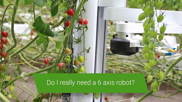 Precise Automation Collaborative Robots