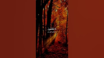 #سورة_النحل  #عبد_الرشيد_صوفي