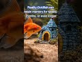 Myth vs Reality: Do Goldfish Have a 3-Second Memory?|गोल्डफ़िश की याददाश्त: विज्ञान क्या कहता है?