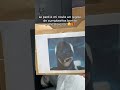 El mejor regalo que me han hecho 🤩👀