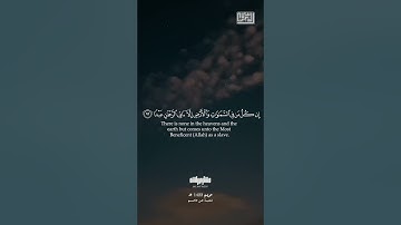 وقالوا اتخذ الرحمن ولدًا (من سورة مريم برواية شعبة) - مشاري العفاسي