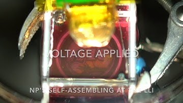 Self-assembling nanoparticle arrays can switch between a mirror and a window