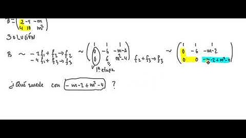 Análisis del rango de una matriz en función de un parámetro (2.º de Bach.)