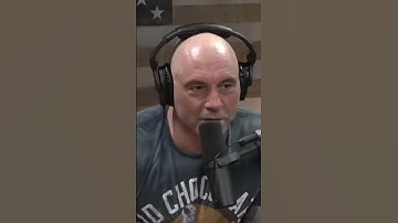 Joe Rogan & Duncan Trussell ~ Uncovering the Insane Power of Projection in Cults/DMT/psychedelics