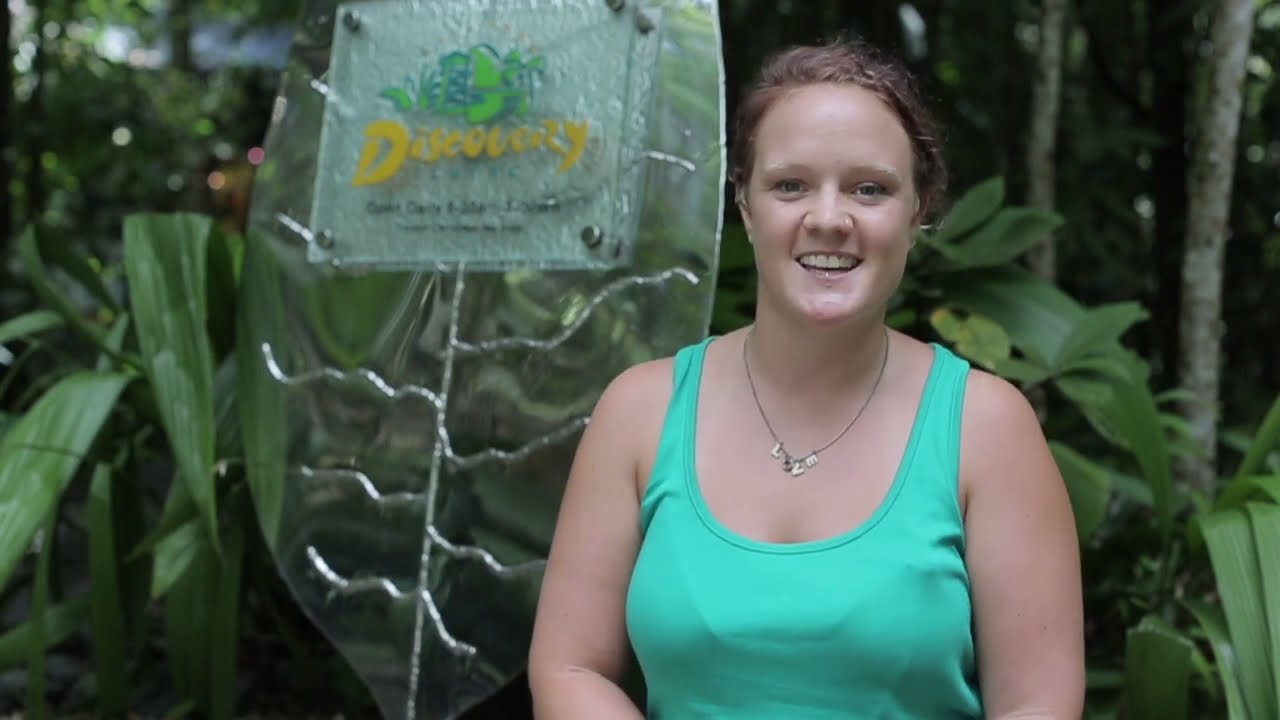 Daintree Discovery Centre review with Janina from Germany