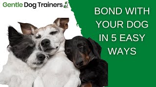 How To Bond With Your Dog: 5 Easy Techniques!