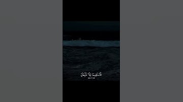 قرآن كريم بصوت جميل يريح القلب ماشاءالله #اكسبلور #المصحف #قران_كريم #اكسبلور #الرحمن #دويتو #لايك