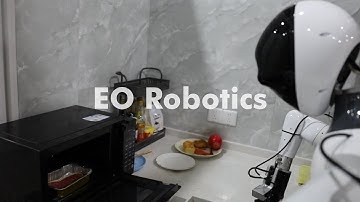 EO-1: An Open Unified Embodied Foundation Model for General Robot Control