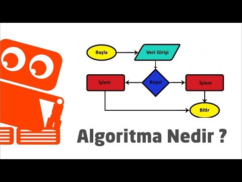 Video: Algoritma geliştiricisi nedir?