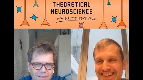 Episode #34: On balanced neural networks - with Nicolas Brunel