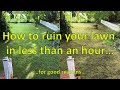 Renovating an abandoned tiny house #20: How to ruin your lawn in less than an hour...