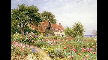 Luigi Boccherini - String Quintet - Op.11, No.5 - Minuet