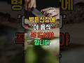 병든신장에 ‘이 음식’ 꼭 드셔야 합니다 #건강정보 #건강 #건강한중년 #건강식단 #노년건강 #쇼츠