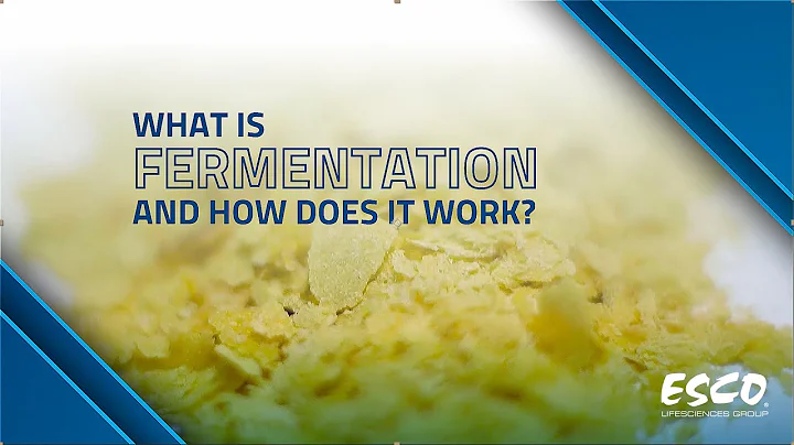 What Is Fermentation and How Does It Work? | Successful Fermentation Tips | Esco Lifesciences - DayDayNews