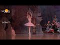 Dance of The Sugar Plum Fairy - The Nutcracker, 2017 ( Renata Shakirova )