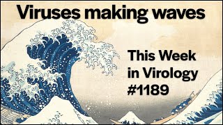 TWiV 1189: Viruses making waves