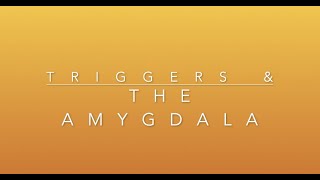 Losing your Mind - The Amygdala and Stress