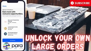 My Review Of ParaWorks