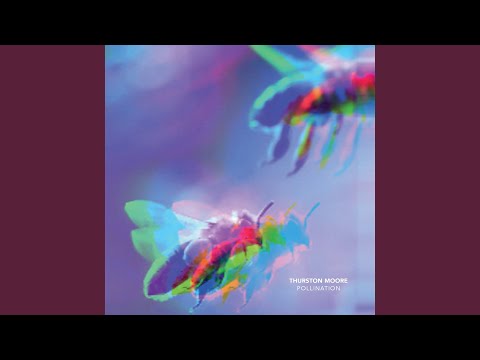 Thurston Moore — Pollination
