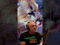 Why Mountain Lions Practice Surplus Killing