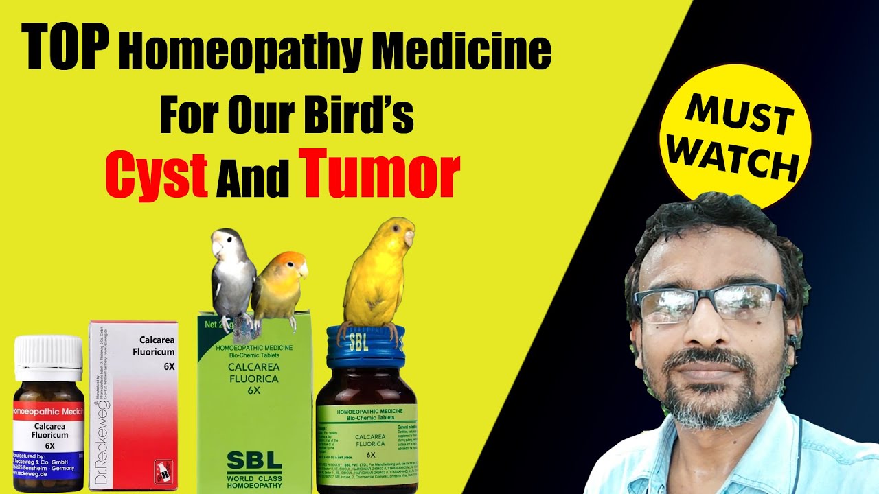 TOP Homeopathy Medicine For Our Bird’s Cyst And Tumor ? How To Use
