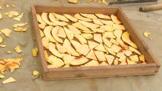 THE WORTH OF PUMPKINS - PROCESSORS CALL FOR MORE GOVERNMENT SUPPORT IN VALUE ADDITION