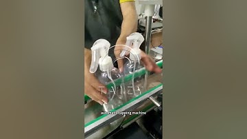 Bottle Capping Machine | Automatic 4 Wheels Screw Capping Machines