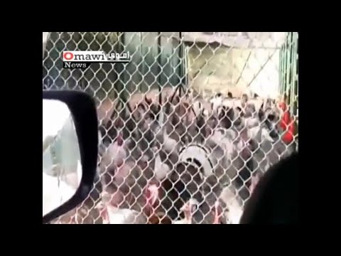 მამუკა ხაზარაძე - \"კრიეტული\"