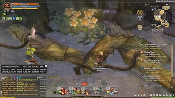 Tree of Savior Walkthrough 100 Laukyme Swamp Side Quests