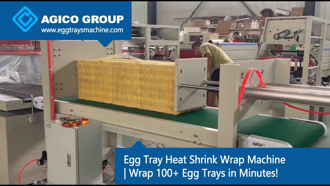Egg Tray Heat Shrink Wrap Machine | Wrap 100+ Egg Trays in Minutes!