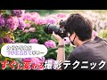 写真が下手に見えなくなる、すぐに試せる簡単撮影テクニック！