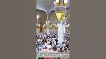 تلاوة مميزة تبارك الله من #محمد_برهجي #القرآن_الكريم #الحرم_المكي #قرآن #الحرم #الحرمين #quran