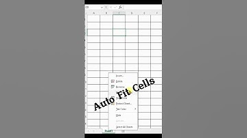 automatic adjust cell column width length | excel