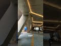 Dongdaemun design plaza #ddp #seoul #bts