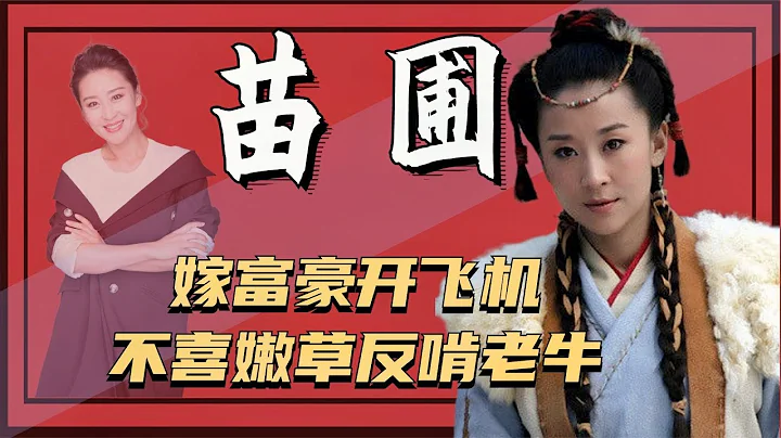 苗圃：与张国立传绯闻，和罗晋姐弟恋，今嫁60亿富豪获赠私人飞机 - 天天要闻
