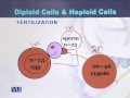 BT732 Genetics & Genomics Lecture No 60