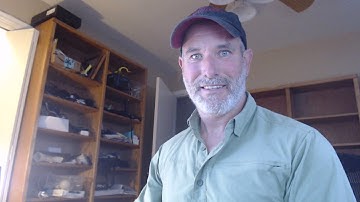 Test Review : Bio 201 test 4