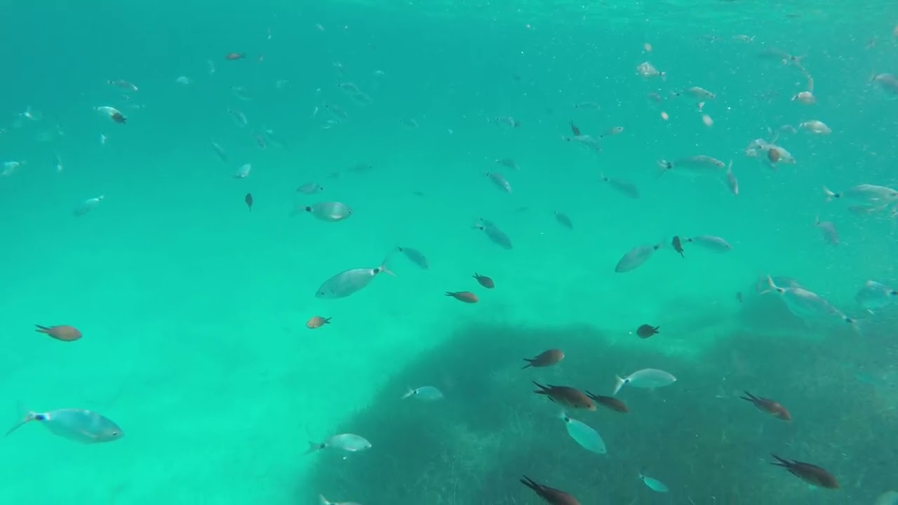 Tavolara e l'arcipelago terranova pausania