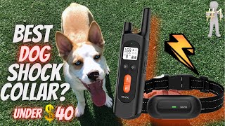 Best Remote Collar For Dogs In 2021? NVK Shock Collars For Dogs Review (Under $40)