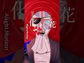 【化けの花】撮影の裏側付き。 #カントリーヒューマンズ #countryhumans