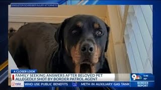 Family seeks answers after dog allegedly shot by Border Patrol agent