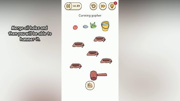 Brain Find Level 23 Cunning gopher