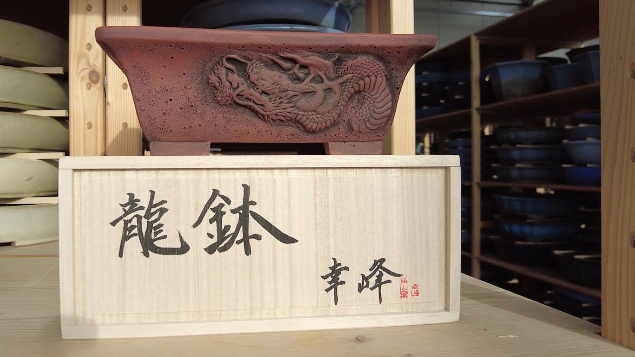 Big Tokoname pots storage Bonsai Plaza. The Bonsai Area