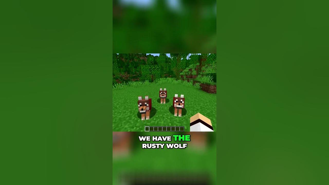 Discover the secrets of rare minecraft biomes old grove tiger jungle