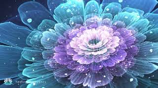 Listen to this for 30 minutes and the entire blessing of the universe will reach you - Love #3 by Healing Frequency 3,521 views 9 months ago 24 hours